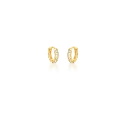 Argola Redonda com Zircônias